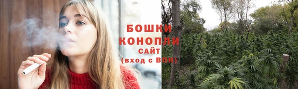 индика Нея