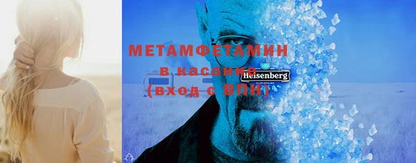 индика Нея