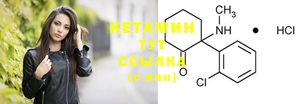 индика Нея