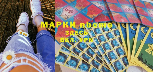 индика Нея