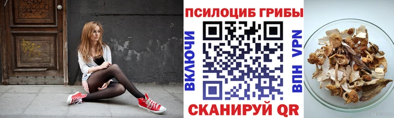 Псилоцибиновые грибы Psilocybine cubensis  Шуя 