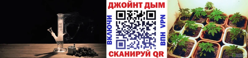 что такое   Шуя  Конопля ГИДРОПОН 